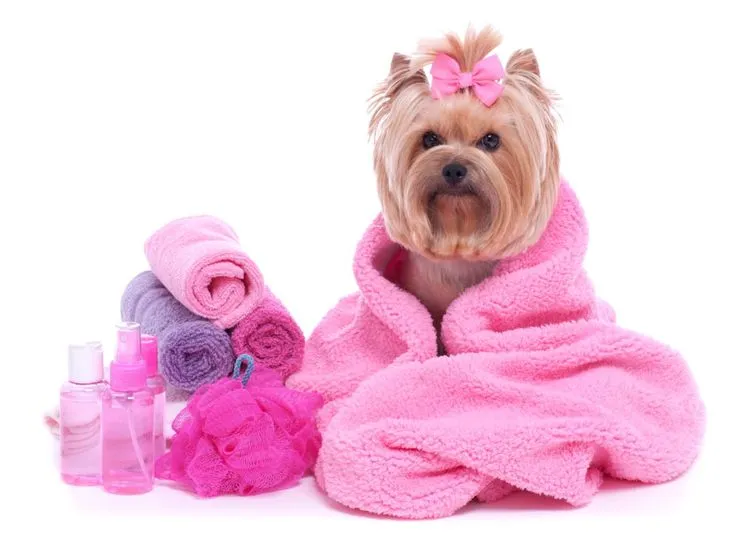 pets skincare