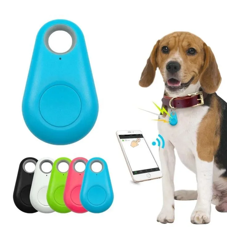 GPS collars