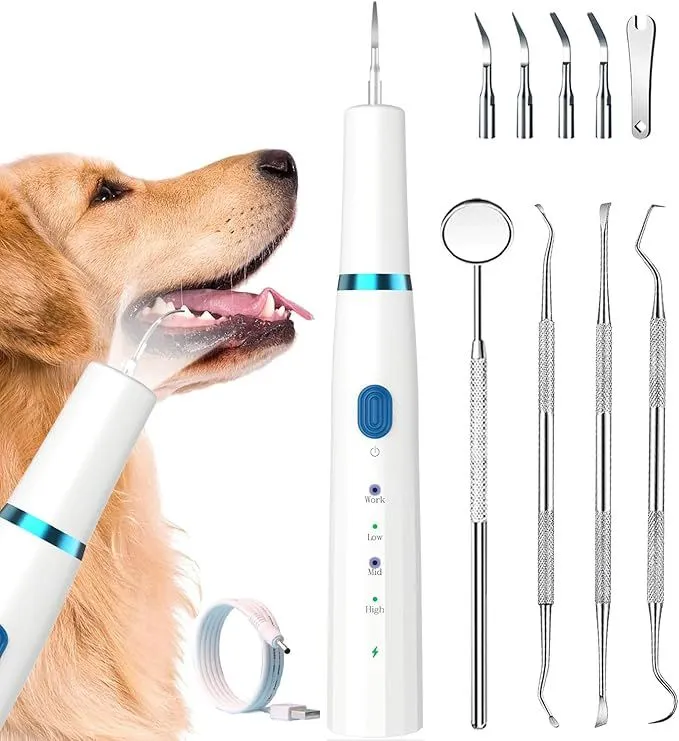 pets dental care