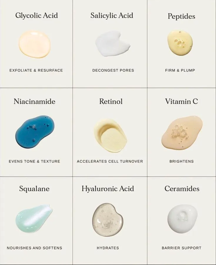 Ingredient Guide