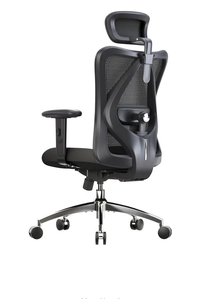 Ergonomic Chairs